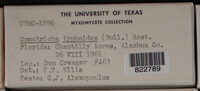 Image Associated With the Occurence